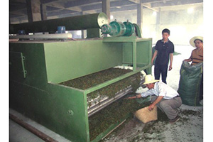 DW系列脫水蔬菜干燥機(jī)